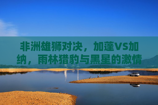 非洲雄狮对决，加蓬VS加纳，雨林猎豹与黑星的激情碰撞，加蓬雨林猎豹战加纳黑星，非洲雄狮激情碰撞