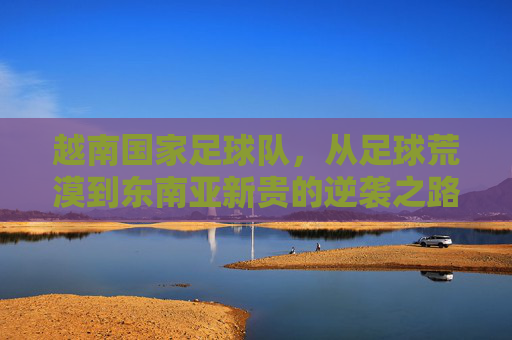 越南国家足球队，从足球荒漠到东南亚新贵的逆袭之路，越南足球，从荒漠到新贵的逆袭之路