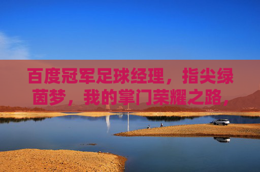 百度冠军足球经理,指尖绿茵梦,我的掌门荣耀之路,掌门荣耀,指尖绿茵梦 百度冠军足球经理,指尖绿茵梦,我的掌门荣耀之路,掌门荣耀,指尖绿茵梦