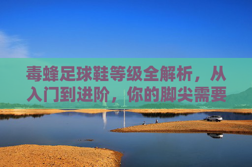 毒蜂足球鞋等级全解析,从入门到进阶,你的脚尖需要哪一级?毒蜂足球鞋等级全解析,从入门到进阶,你的脚尖需要哪一级? 毒蜂足球鞋等级全解析,从入门到进阶,你的脚尖需要哪一级?毒蜂足球鞋等级全解析,从入门到进阶,你的脚尖需要哪一级?