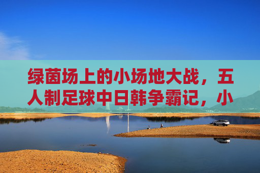 绿茵场上的小场地大战,五人制足球中日韩争霸记,小场地五人制足球中日韩争霸 绿茵场上的小场地大战,五人制足球中日韩争霸记,小场地五人制足球中日韩争霸