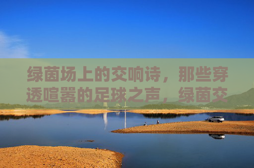 绿茵场上的交响诗,那些穿透喧嚣的足球之声,绿茵交响诗,穿透喧嚣的足球之声 绿茵场上的交响诗,那些穿透喧嚣的足球之声,绿茵交响诗,穿透喧嚣的足球之声