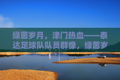 绿茵岁月,津门热血——泰达足球队队员群像,绿茵岁月津门热血,泰达队员群像 绿茵岁月,津门热血——泰达足球队队员群像,绿茵岁月津门热血,泰达队员群像