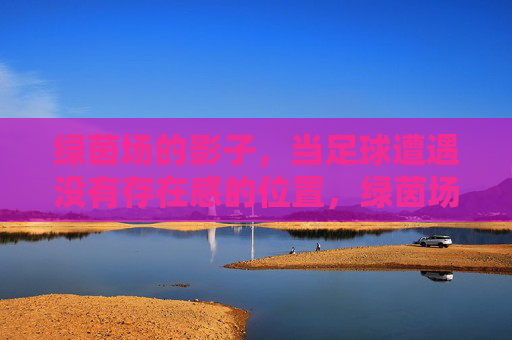 绿茵场的影子,当足球遭遇没有存在感的位置,绿茵场的影子,足球的隐形位置 绿茵场的影子,当足球遭遇没有存在感的位置,绿茵场的影子,足球的隐形位置
