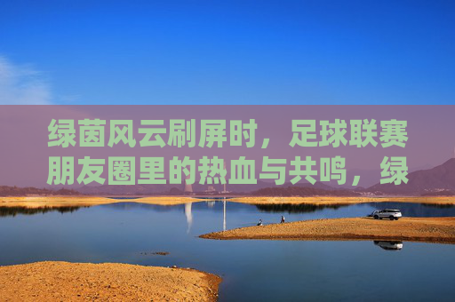 绿茵风云刷屏时，足球联赛朋友圈里的热血与共鸣，绿茵风云刷屏朋友圈，足球联赛热血共鸣