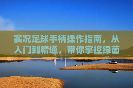 实况足球手柄操作指南，从入门到精通，带你掌控绿茵赛场，实况足球手柄操作从入门到精通，掌控绿茵赛场