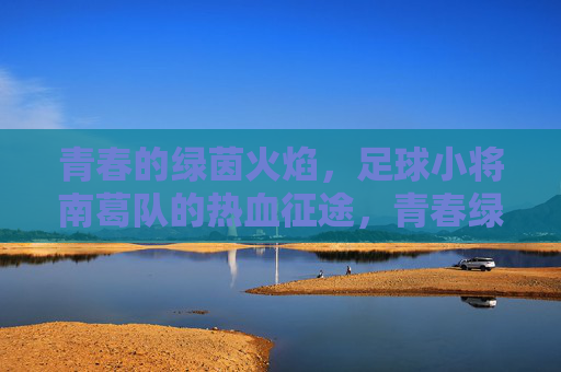青春的绿茵火焰,足球小将南葛队的热血征途,青春绿茵火焰,南葛队热血征途 青春的绿茵火焰,足球小将南葛队的热血征途,青春绿茵火焰,南葛队热血征途
