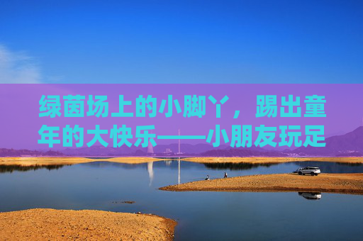绿茵场上的小脚丫,踢出童年的大快乐——小朋友玩足球介绍语,绿茵小脚丫,踢出童年大快乐 绿茵场上的小脚丫,踢出童年的大快乐——小朋友玩足球介绍语,绿茵小脚丫,踢出童年大快乐