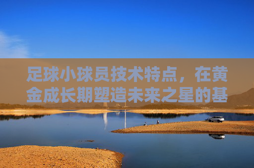 足球小球员技术特点,在黄金成长期塑造未来之星的基石,黄金成长期小球员技术特点,铸就未来之星基石 足球小球员技术特点,在黄金成长期塑造未来之星的基石,黄金成长期小球员技术特点,铸就未来之星基石
