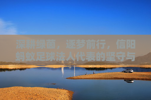 深耕绿茵,逐梦前行,信阳蚂蚁足球法人代表的坚守与担当,信阳蚂蚁足球法人代表,深耕绿茵逐梦,坚守担当前行 深耕绿茵,逐梦前行,信阳蚂蚁足球法人代表的坚守与担当,信阳蚂蚁足球法人代表,深耕绿茵逐梦,坚守担当前行