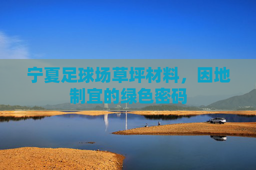 宁夏足球场草坪材料,因地制宜的绿色密码 宁夏足球场草坪材料,因地制宜的绿色密码
