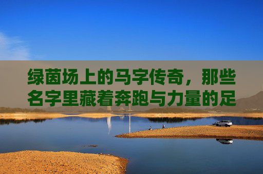 绿茵场上的马字传奇，那些名字里藏着奔跑与力量的足球明星，绿茵马字传奇，奔跑与力量的足球星辰