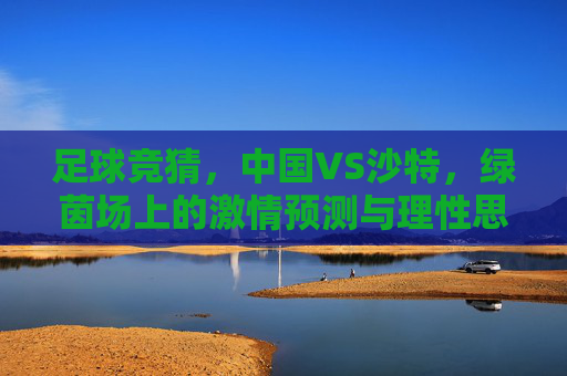 足球竞猜,中国VS沙特,绿茵场上的激情预测与理性思考,中国VS沙特,足球竞猜的激情预测与理性思辨 足球竞猜,中国VS沙特,绿茵场上的激情预测与理性思考,中国VS沙特,足球竞猜的激情预测与理性思辨