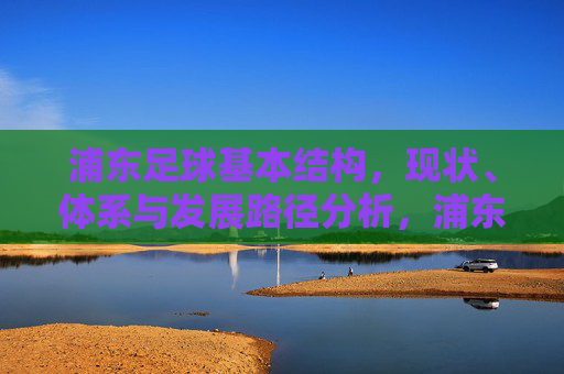 浦东足球基本结构，现状、体系与发展路径分析，浦东足球，结构与体系现状及发展路径分析