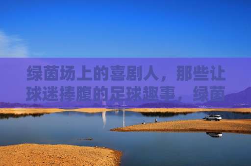 绿茵场上的喜剧人,那些让球迷捧腹的足球趣事,绿茵喜剧人,让球迷捧腹的足球趣事 绿茵场上的喜剧人,那些让球迷捧腹的足球趣事,绿茵喜剧人,让球迷捧腹的足球趣事