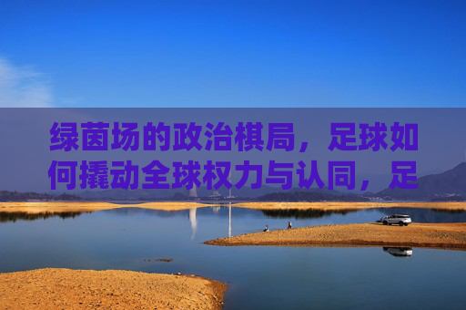 绿茵场的政治棋局，足球如何撬动全球权力与认同，足球撬动全球权力与认同的绿茵棋局