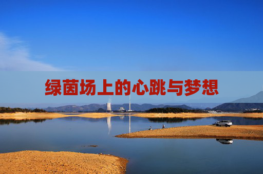 绿茵场上的心跳与梦想 绿茵场上的心跳与梦想